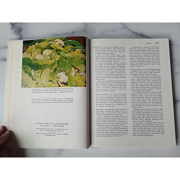 Better Homes And Gardens Encyclopedia Of Cooking Lettuce To Mixture - Picture 3 of 10